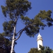 033-pohled-na-minaret-ze-zameckeho-parku